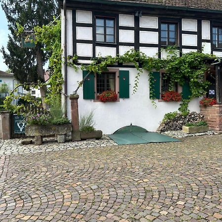 Exklusive Maisonette-Wohnung Am Rande Von Freiburg Merzhausen Exterior photo